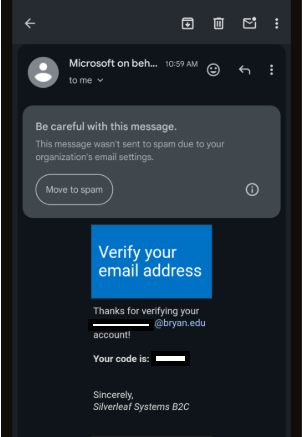 Verification code email as seen on a phone
